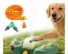 Fuente de agua para perros al aire libre