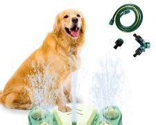 Fuente de agua para perros al aire libre